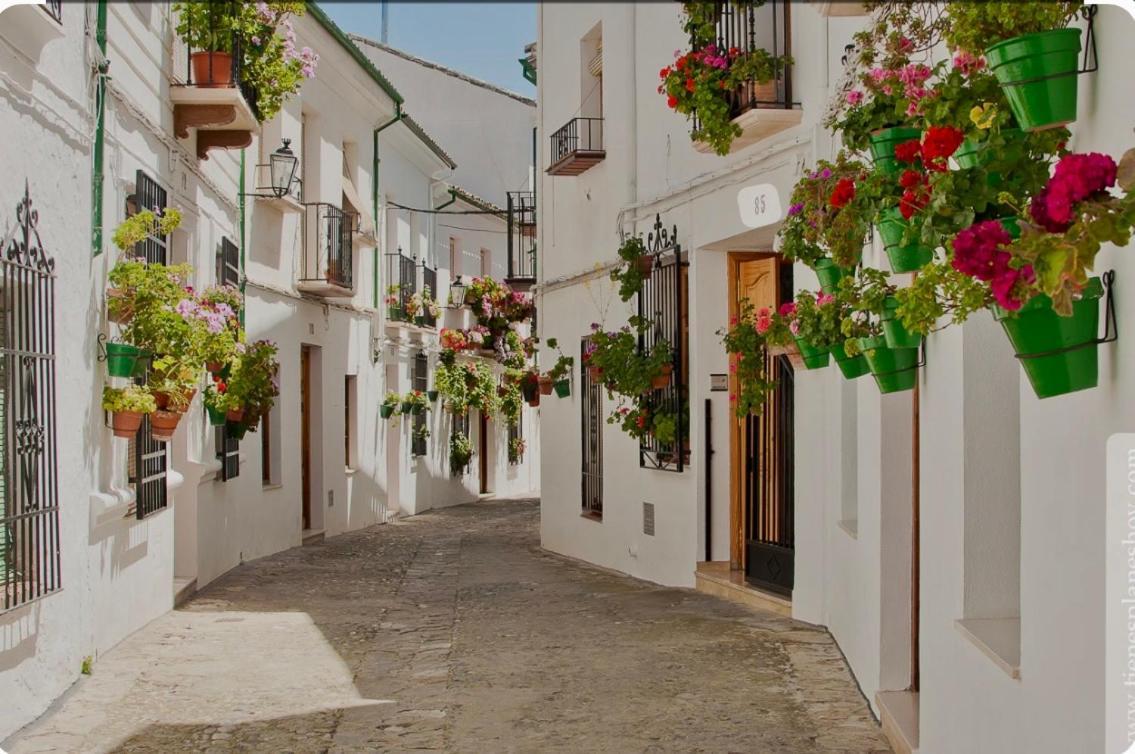 Apartamento E&D Nerja Exterior foto